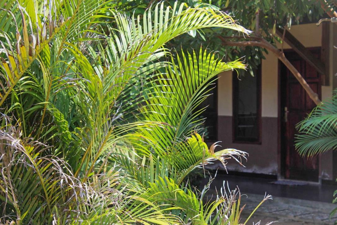 Harrys Oceanhouse 2 Pacitan Apartman Kültér fotó